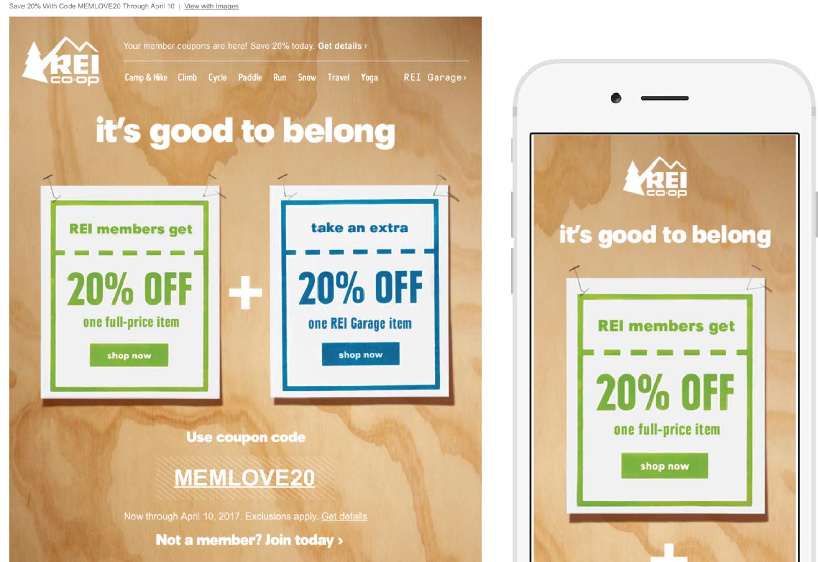 REI Email