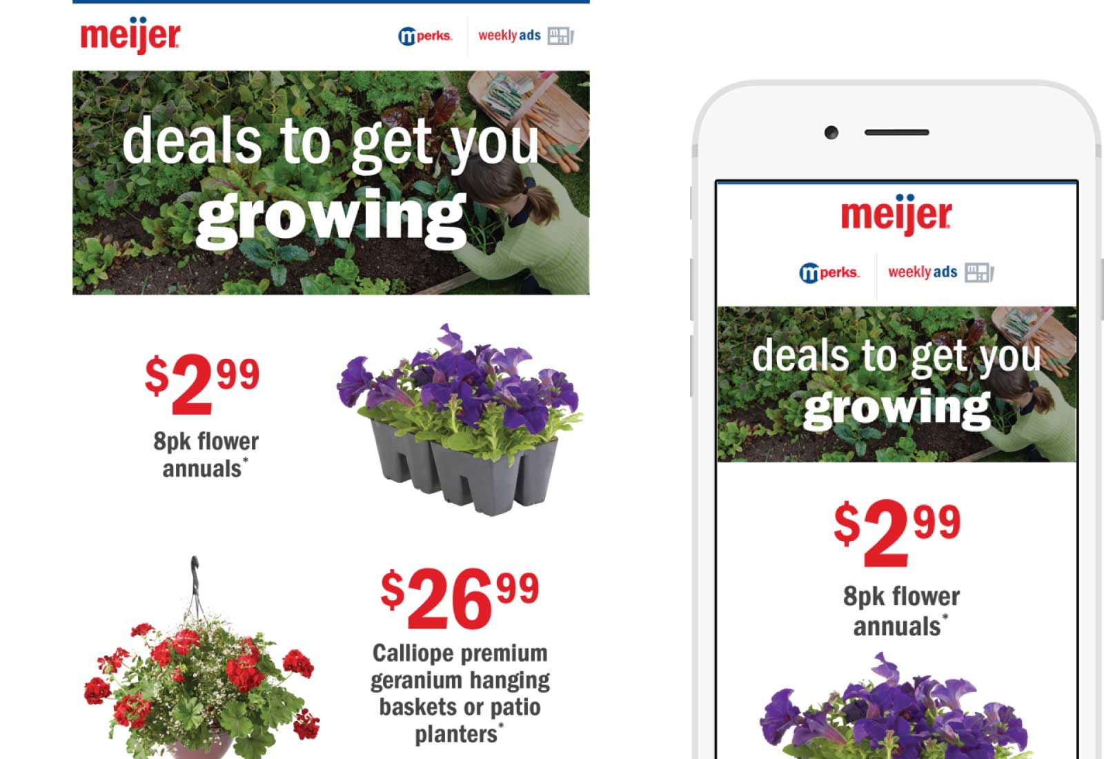 Meijer Email